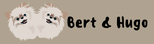 Bert& Hugo HR