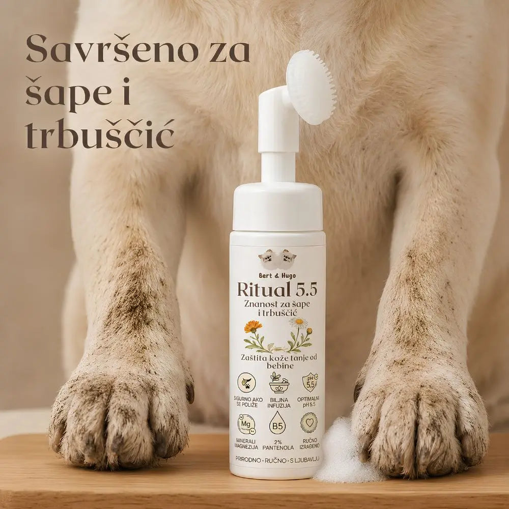 Summer Adventure Trio – Zaštićen, čist i sretan pas – čak i tijekom najvećih vrućina