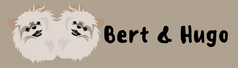 Bert& Hugo HR