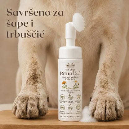 Summer Adventure Trio – Zaštićen, čist i sretan pas – čak i tijekom najvećih vrućina